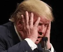 Screen Shot 2022-07-10 at 7.12.37 AM.png