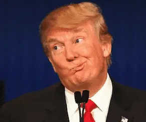 Screen Shot 2022-07-13 at 7.09.07 PM.webp