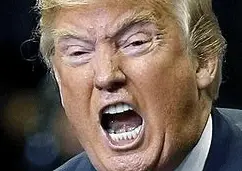 Screen Shot 2022-07-13 at 8.42.38 AM.webp