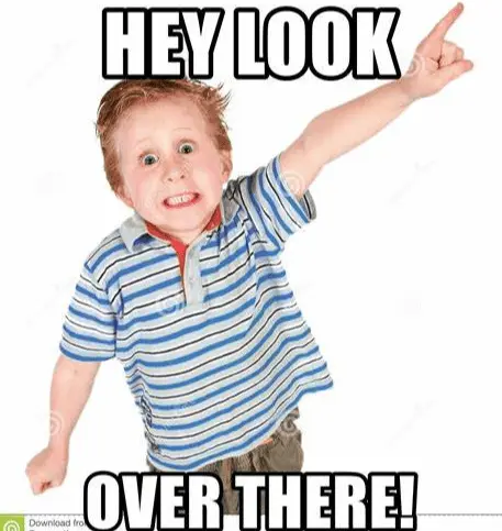 Screen Shot 2022-07-14 at 10.00.47 AM.png