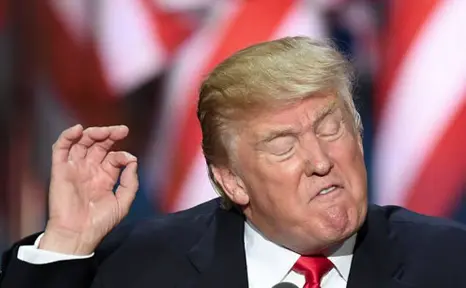 Screen Shot 2022-08-04 at 4.55.50 PM.webp