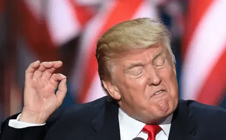 Screen Shot 2022-08-04 at 4.55.50 PM.png