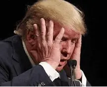 Screen Shot 2022-08-23 at 11.37.10 AM.webp