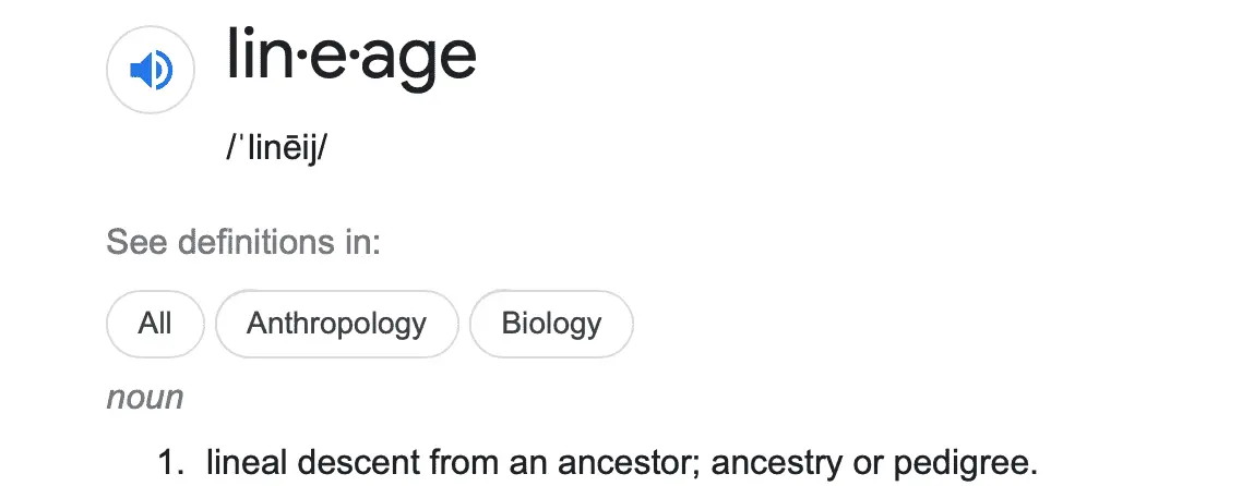 Screen Shot 2022-09-22 at 8.36.01 PM.webp