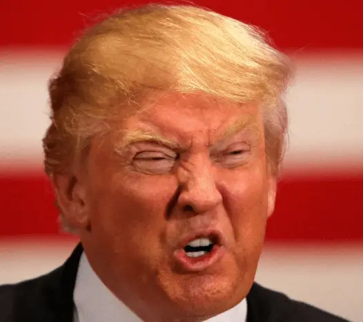 Screen Shot 2022-10-21 at 8.41.16 AM.png