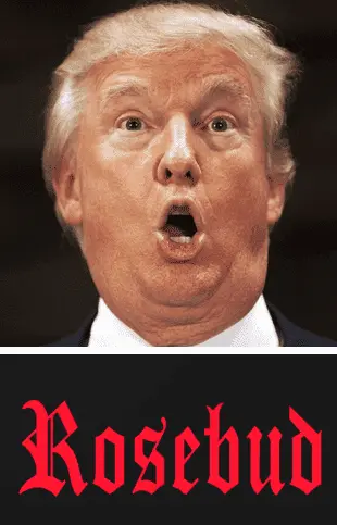 Screen Shot 2022-10-21 at 8.55.36 AM.png