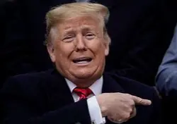 Screen Shot 2022-10-23 at 7.24.11 PM.webp