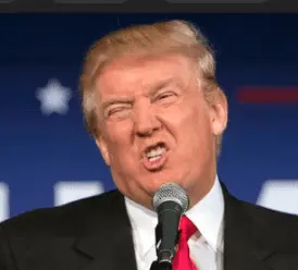 Screen Shot 2022-10-25 at 8.37.20 AM.png