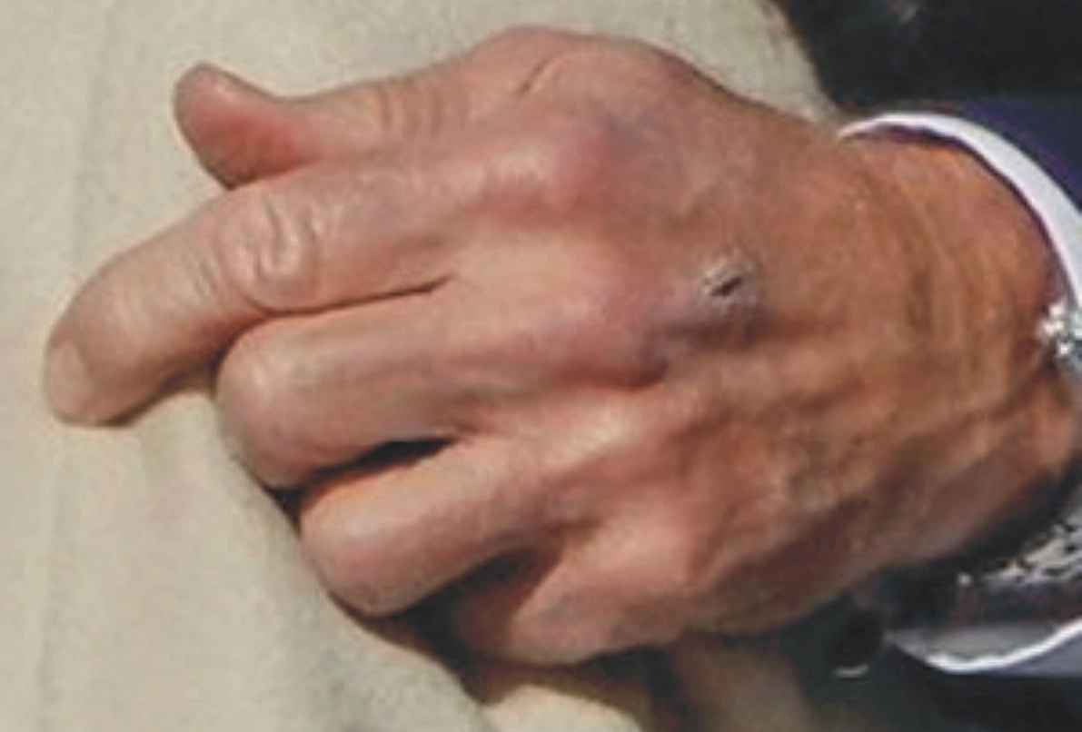 Screen Shot 2022-11-02 at 12.49.57 AM.webp