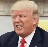 Screen Shot 2022-11-11 at 1.12.49 PM.png