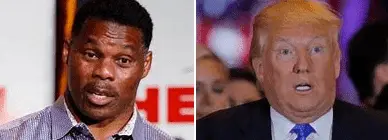 Screen Shot 2022-11-11 at 7.41.56 PM.webp