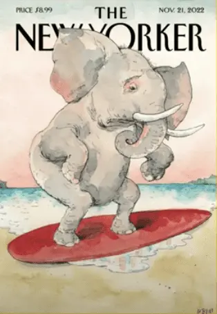 Screen Shot 2022-11-12 at 7.31.48 PM.png