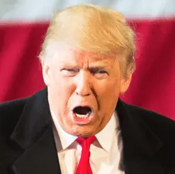 Screen Shot 2022-11-13 at 12.40.34 PM.webp