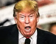 Screen Shot 2022-11-14 at 5.29.13 PM.webp