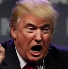 Screen Shot 2022-11-14 at 7.25.01 PM.webp