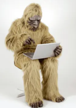 Screen Shot 2022-11-20 at 8.35.27 AM.png