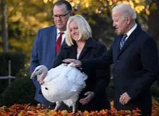 Screen Shot 2022-11-21 at 4.13.22 PM.webp