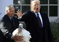 Screen Shot 2022-11-21 at 4.13.47 PM.webp