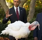 Screen Shot 2022-11-21 at 4.14.17 PM.webp