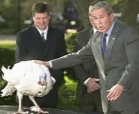 Screen Shot 2022-11-21 at 4.14.48 PM.webp