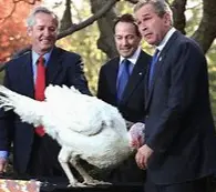 Screen Shot 2022-11-21 at 4.14.56 PM.webp