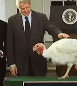 Screen Shot 2022-11-21 at 4.16.42 PM.webp