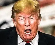 Screen Shot 2022-11-24 at 5.01.43 PM.png