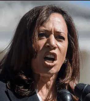 Screen Shot 2023-02-17 at 11.53.30 AM.png