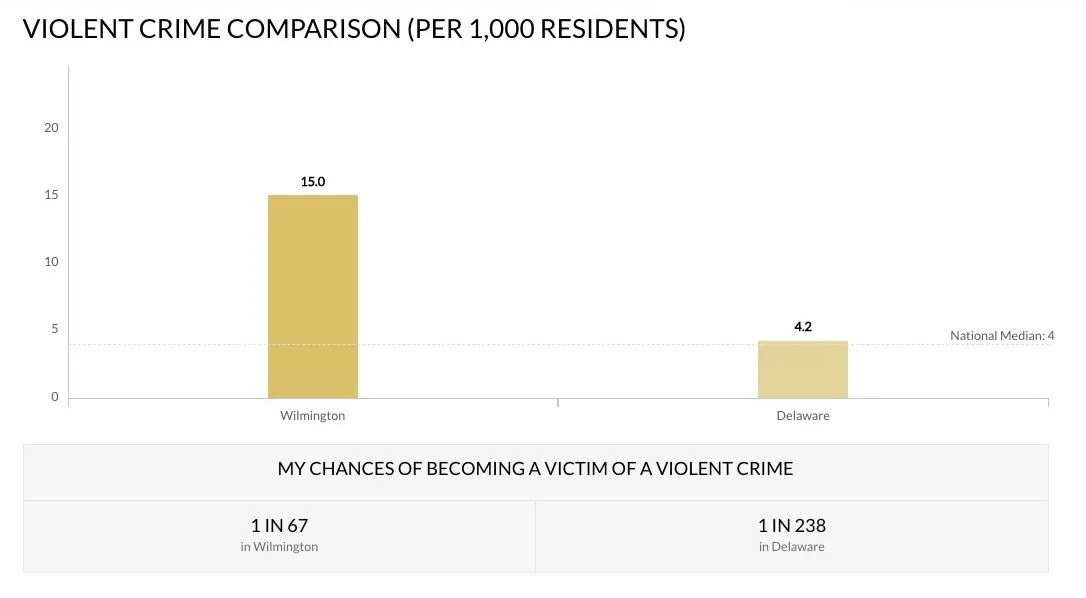 Screen Shot 2023-02-25 at 12.56.57 PM.jpg