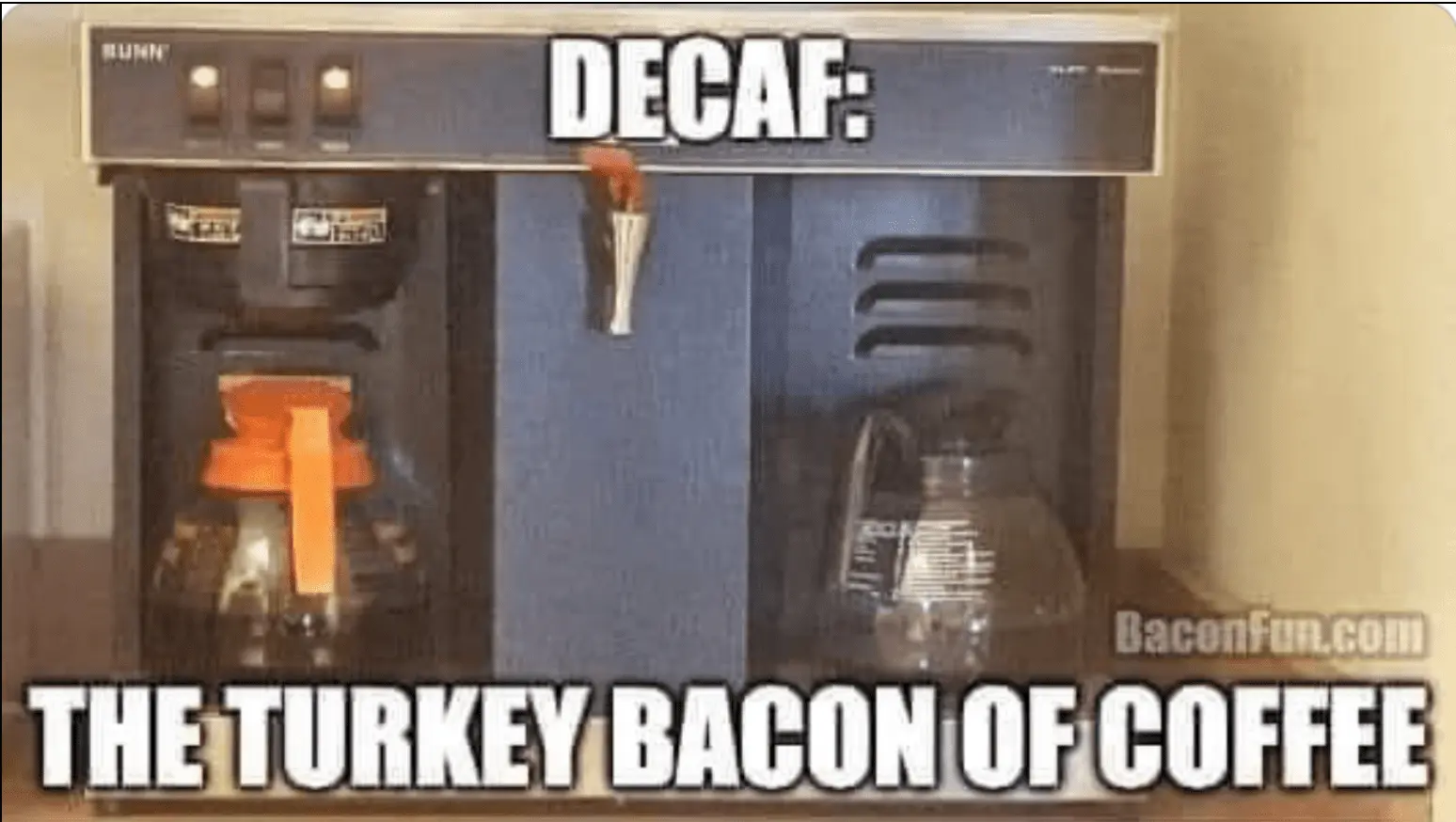 Screen Shot 2023-03-04 at 7.36.07 AM.webp