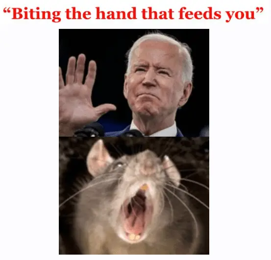 Screen Shot 2023-04-22 at 8.18.36 AM.png