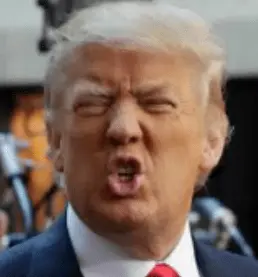 Screen Shot 2023-05-09 at 12.42.25 PM.webp