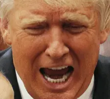 Screen Shot 2023-05-09 at 12.42.35 PM.webp