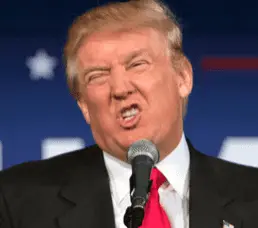 Screen Shot 2023-05-09 at 4.04.29 PM.webp