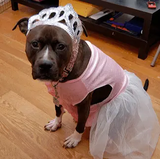 Screen Shot 2023-07-14 at 9.16.01 AM.png