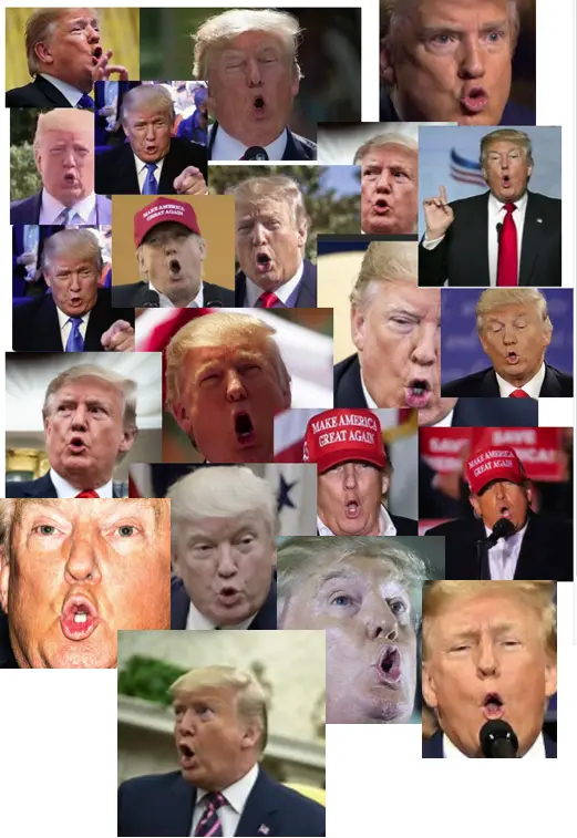 Screen Shot 2023-07-26 at 9.17.29 AM.webp