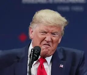 Screen Shot 2023-08-13 at 11.59.16 AM.webp