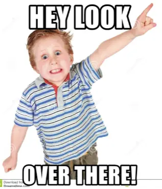 Screen Shot 2023-08-23 at 7.11.52 PM.webp