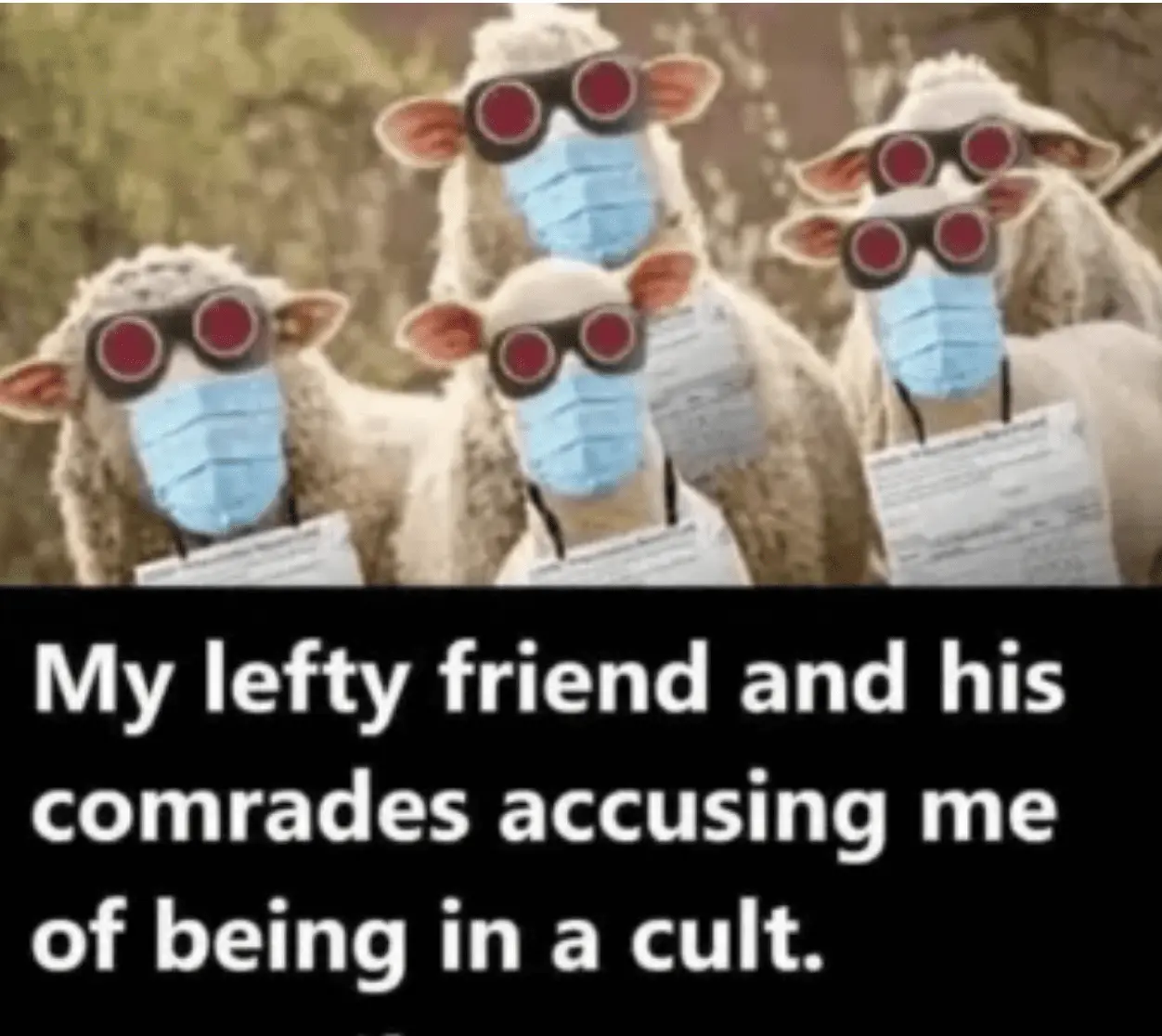 Screen Shot 2023-08-27 at 2.23.53 PM.webp