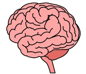 Screen Shot 2023-09-29 at 7.27.25 PM.webp