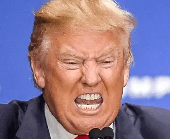 Screen Shot 2023-10-11 at 3.37.35 PM.png