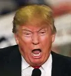 Screen Shot 2023-10-21 at 4.06.59 PM.png