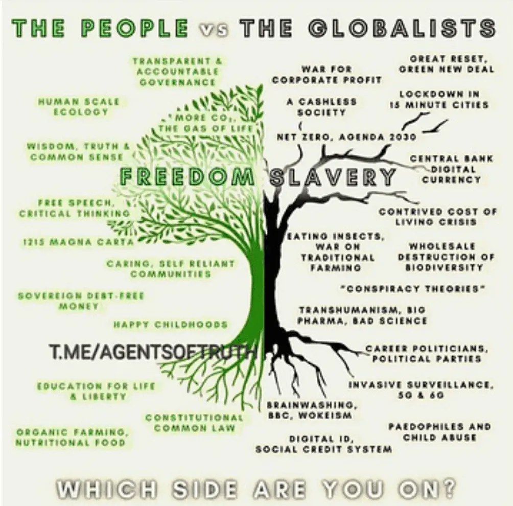 Screen Shot 2023-12-10 at 8.02.01 AM.webp