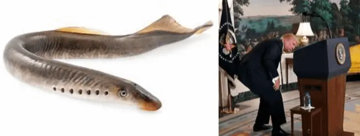 Screen Shot 2023-12-15 at 9.38.28 AM.webp