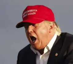 Screen Shot 2024-01-14 at 2.07.40 PM.webp