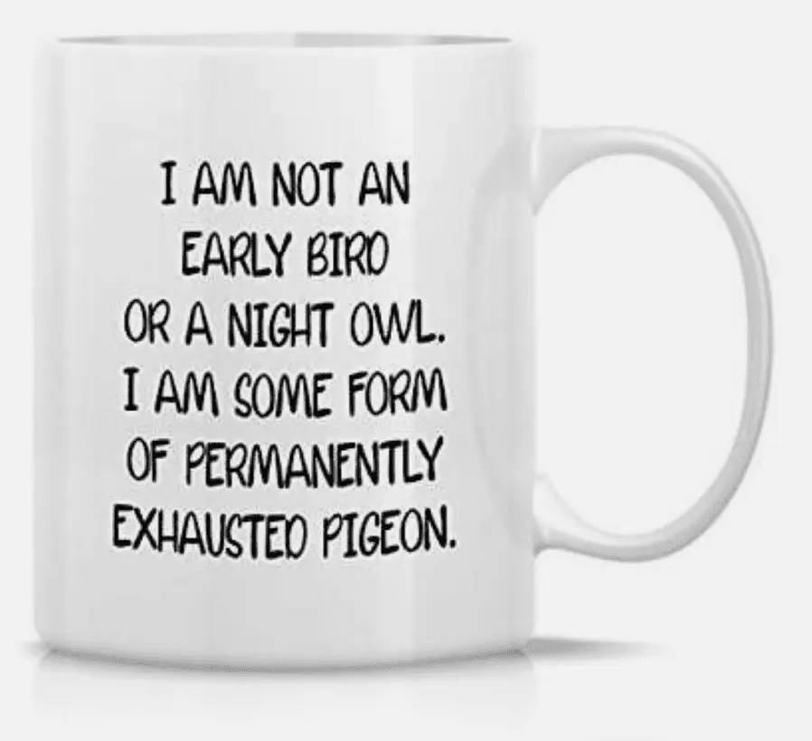 Screen Shot 2024-02-15 at 5.02.29 PM.webp