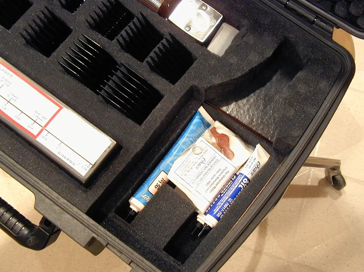 Screen Shot 2024-03-06 at 8.43.03 PM.webp