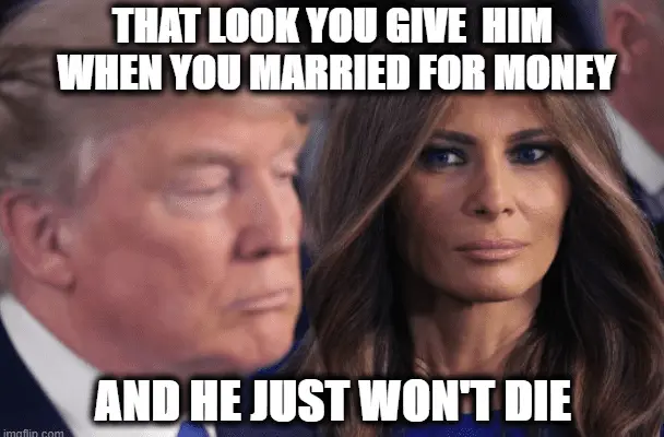 Screen Shot 2024-05-07 at 4.53.53 PM.webp