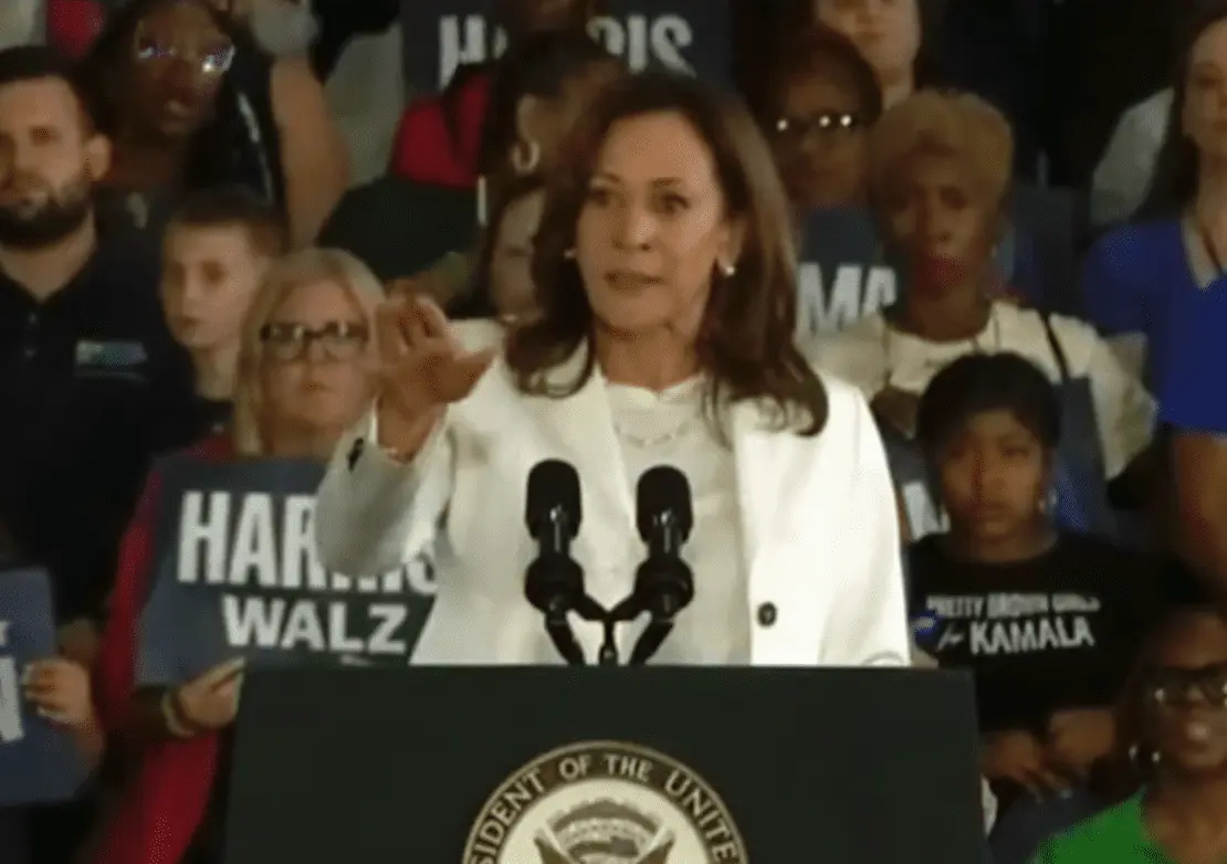 Screen Shot 2024-08-08 at 4.56.37 PM.png