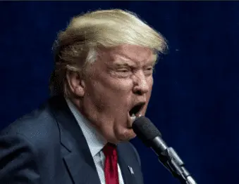 Screen Shot 2024-09-03 at 7.49.31 AM.webp